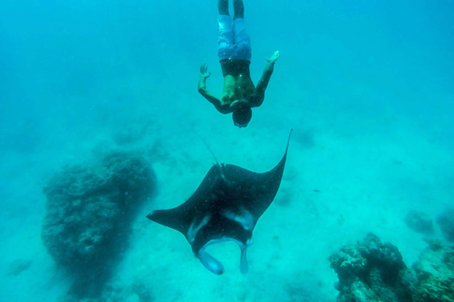 Snorkelling - Ninamu Resort, Tikehau, Tahiti