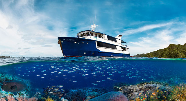 Ocean Rover  - Indonesia Liveaboards - Dive Discovery Indonesia