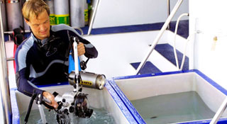 Ocean Rover  - Indonesia Liveaboards - Dive Discovery Indonesia