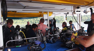 Ocean Rover  - Indonesia Liveaboards - Dive Discovery Indonesia