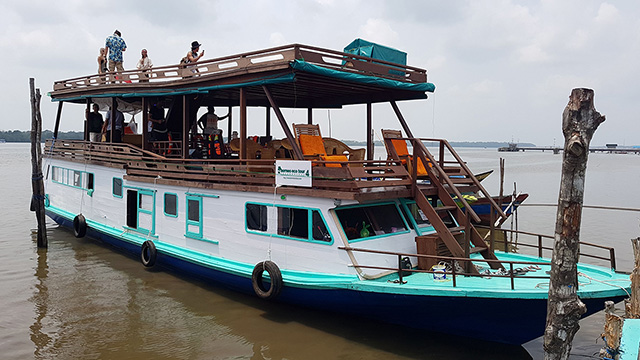 Orangutan River Cruise in Kalimantan, 4 Days / 3 Nights - Indonesia Land Tours - Dive Discovery Indonesia