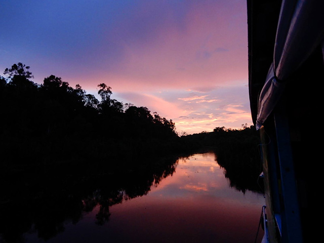 Seikonyer River, Tanjung Puting National Park - Orangutan River Cruise in Kalimantan, 4 Days / 3 Nights - Indonesia Land Tour