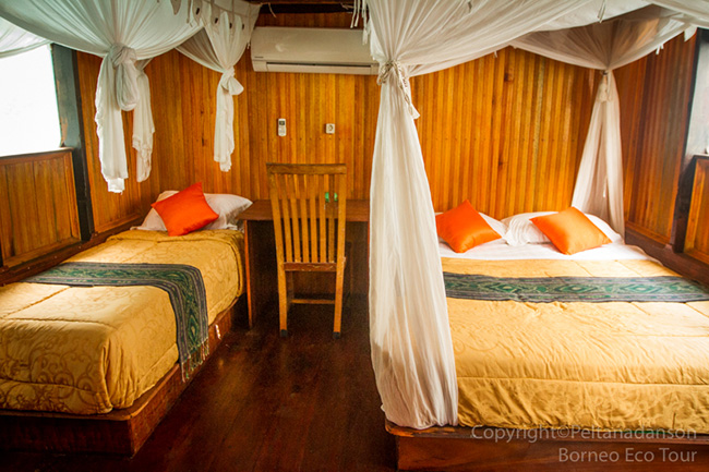 Deluxe / Super Deluxe Houseboat - Orangutan River Cruise in Kalimantan, 4 Days / 3 Nights - Indonesia Land Tour