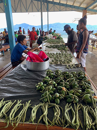 Oceania Milne Bay, Papua Niugini, March 10 - 20 2020 Trip Report