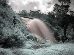 Mt Hagen Show, Mt Wilhelm Climb and Oro Cultural Show - PNG Nature & Cultural Tours