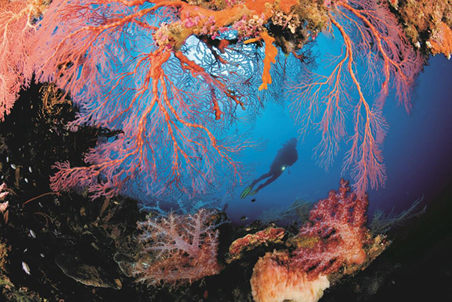 Underwater in Tufi - PNG Cultural Event