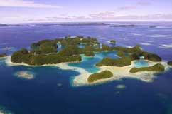 Ocean Hunter III - Micronesia Liveaboards - Dive Discovery Micronesia