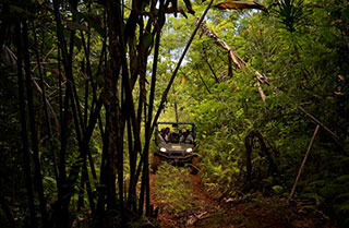 Palau Off Road Jungle Tours