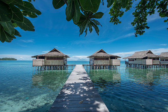 Deluxe Rooms - Papua Paradise Eco Resort - Indonesia Dive Resort