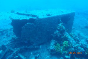 Paulina Wreck