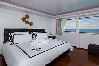 Double Stateroom - Petrel - Galapagos Liveaboard