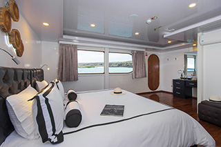 Double Stateroom - Petrel - Galapagos Liveaboard