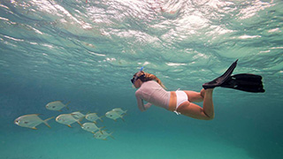 Snorkeling - Poivre Atoll