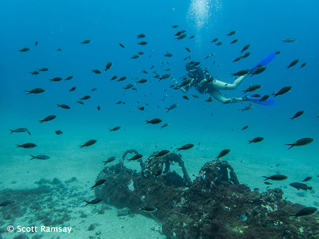 Underwater pic at Príncipe Island taken by Scott Ramsay