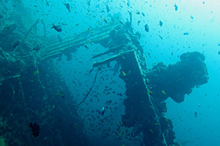 Produce, Wreck in Aliwal Shoal