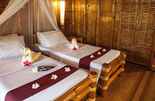 Standard room - Pura Vida Beach & Dive Resort - Philippines Dive Resort