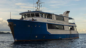 Raja Ampat Aggressor - Indonesian Liveaboards