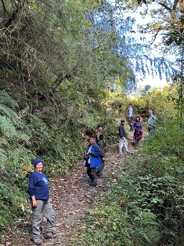 Trek bamboo forest