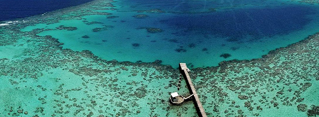 medaljevinder Alternativt forslag Ældre borgere Hidden Treasures of Sudan and the Red Sea, 15 Days - Dive Discovery Red Sea