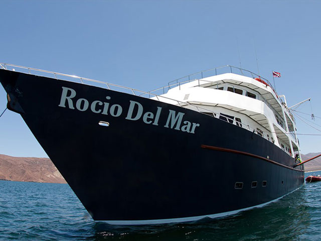 Rocio Del Mar - Mexico Liveaboards - Dive Discovery Mexico