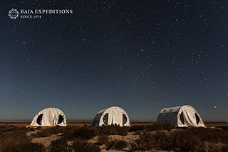 Tents - San Ignacio Whale Watching