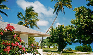 Sandy Beach Resort - Tonga Dive Resorts - Dive Discovery Tonga
