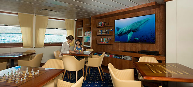 Discovery room - Santa Cruz II - Galapagos Liveaboards - Dive Discovery Galapagos