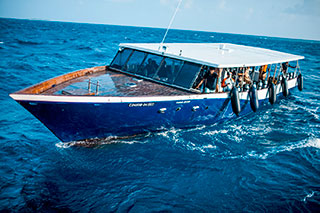 Dive dhoni - Scubaspa Ying - Maldives Liveaboards