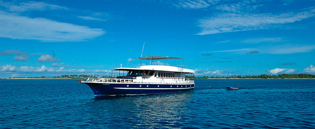 MV Sea Spirit - Maldives Liveaboards - Dive Discovery Maldives