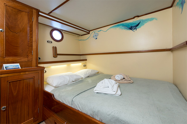 Double cabin - MV Sea Hunter - Dominican Republic Liveaboard