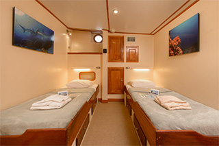 Twin cabin - MV Sea Hunter - Dominican Republic Liveaboard