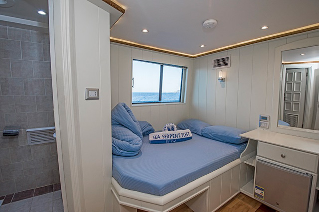 Double bed cabin - Sea Serpent Contessa - Red Sea Liveaboard