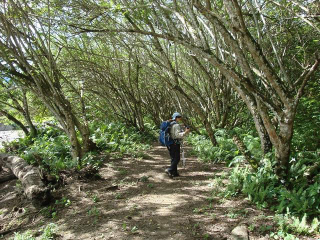 A most beautiful walk - Shaggy Ridge Trek, 9 Days - PNG Land Tours - Dive Discovery PNG