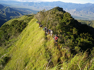 Shaggy Ridge Trek, 9 Days - PNG Land Tours - Dive Discovery PNG