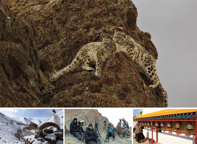 Snow Leopard Photography Trekking