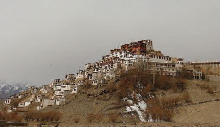 Snow Leopard Photography Trekking