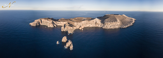 Socorro Island, in the Revillagigedo Islands of Mexico!, April 17-25 2021 Group Trip - Dive Discovery