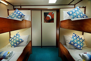 Twin Standard Lower Deck - Solomons PNG Master - Solomon Islands Liveaboard