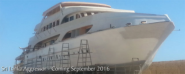 Sri Lanka Aggressor - Sri Lanka Liveaboards