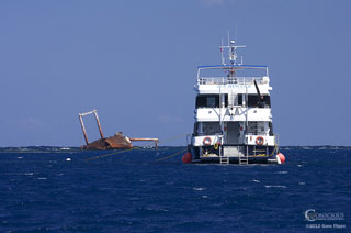 M/V Sun Dancer II - Dominican Republic Liveaboards - Dive Discovery Dominican Republic