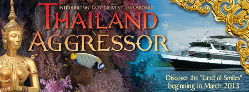 Thailand Aggressor - Thailand and Myanmar Liveaboards - Dive Discovery Thailand