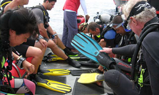 June Hong Chian Lee or The Junk - Timor-Leste Liveaboards - Dive Discovery Timor-Leste