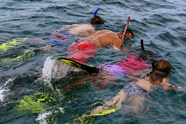 Snorkeling - Tides Reach Resort - Fiji Dive Resort