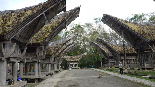 Tongkonan Houses - Toraja Tour, 4 Days - Indonesia Cultural Tours - Dive Discovery Indonesia