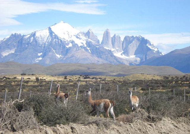 Torres del Paine National Park (Chile) - Argentina - Dive Discovery