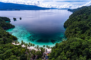 Triton Bay Divers - Indonesia Dive Resorts