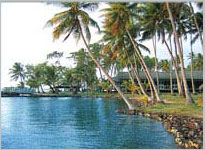 Blue Lagoon Resort - Palau Dive Resorts - Dive Discovery Micronesia