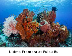 Ultima Frontiera at Palau Bui