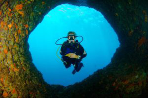 Dive Vela Garska