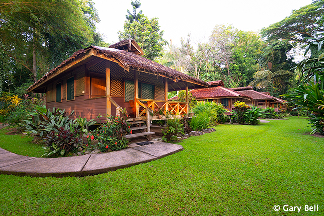 Bungalow - Walindi Plantation Resort - PNG Dive Resorts